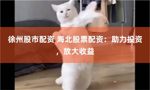 徐州股市配资 海北股票配资：助力投资，放大收益